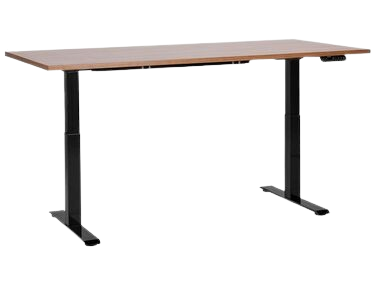 Electric Adjustable Standing Desk 180 x 80 cm Black DESTINES